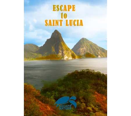 Escape To Saint Lucia (2013)