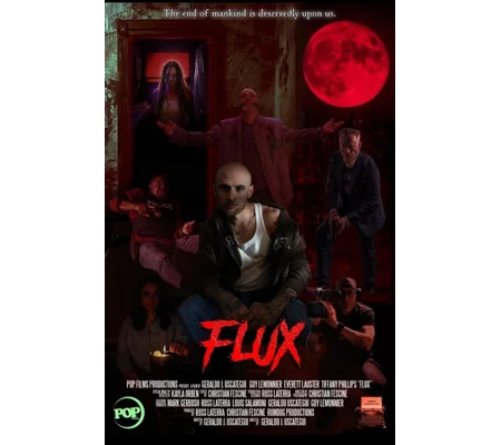 Flux (2026)