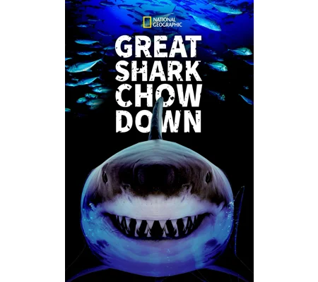 Great Shark Chow Down (2019)