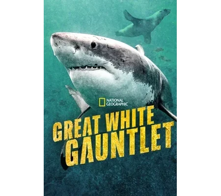 Great White Gauntlet (2026)