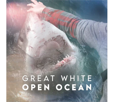 Great White Open Ocean (2022)