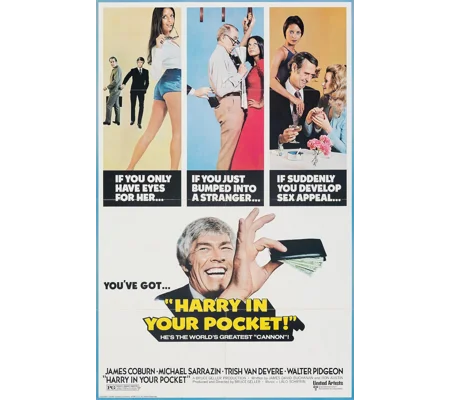 Harry In Your Pocket (1973)