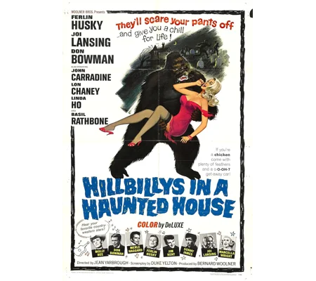 Hillbillys In A Haunted House (1967)