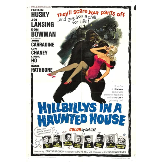 Hillbillys In A Haunted House (1967)