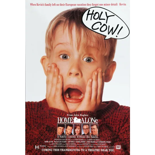 Home Alone (1990) Joe Peci John Heard John Candy