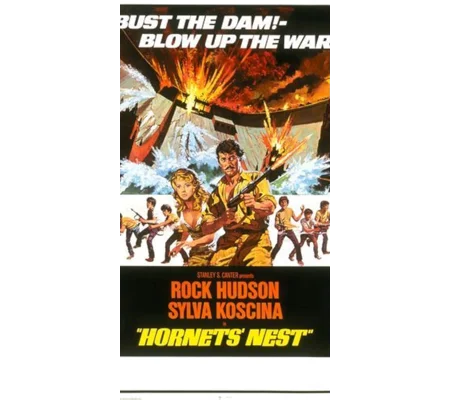 Hornets' Nest (1970)