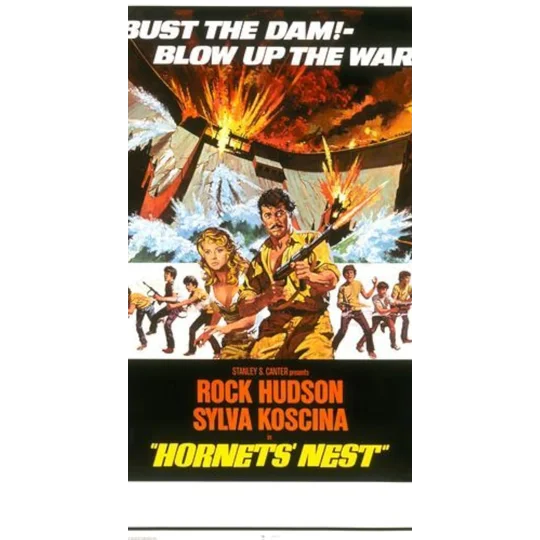 Hornets' Nest (1970)