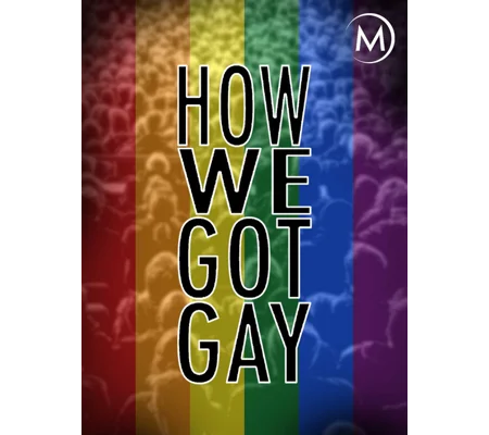 How We Got Gay (2013)