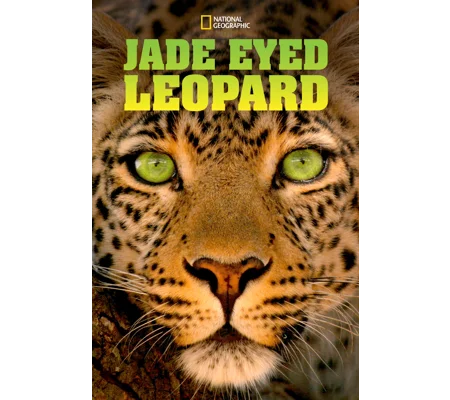 Jade Eyed Leopard (2020)