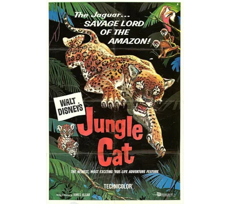 Jungle Cat (1960)