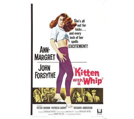 Kitten With A Whip (1964)