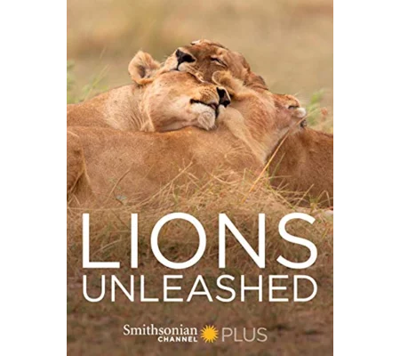 Lion's Unleashed (2017)
