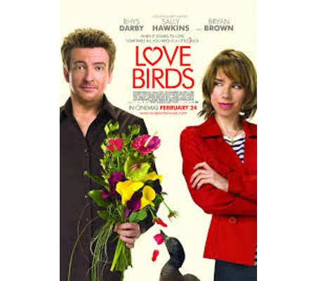 Love Birds (2011)