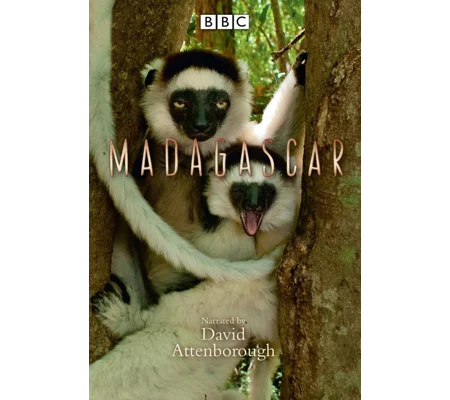 Madagascar (2011)
