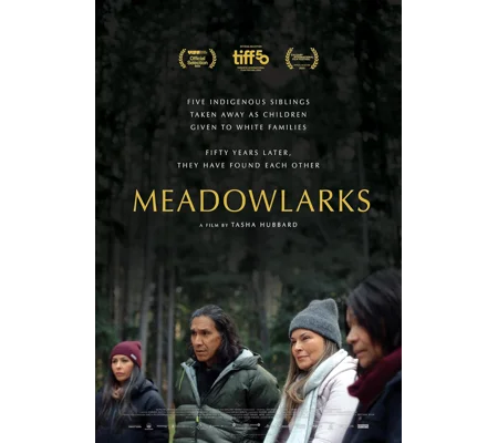 Meadowlarks (2025)