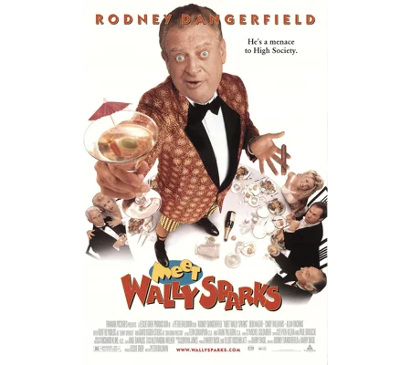 Meet Wally Sparks (1997)