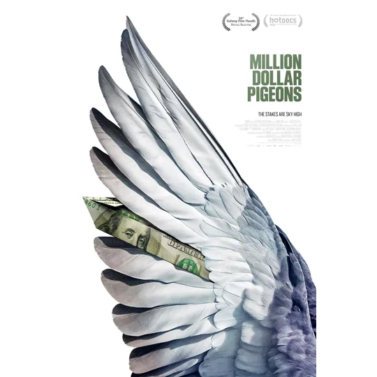 Million Dollar Pigeons (2022)