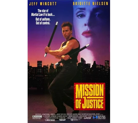 Mission Of Justice (1992)