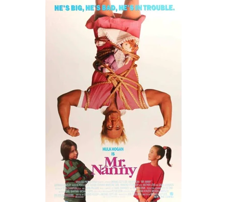 Mr. Nanny (1993)