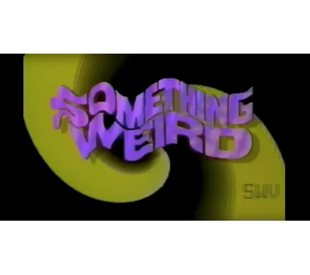 My Secret Life (1970's) Something Weird Video