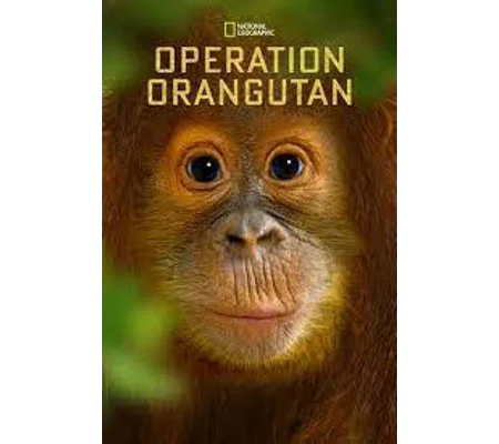 Operation Orangutan (2015)