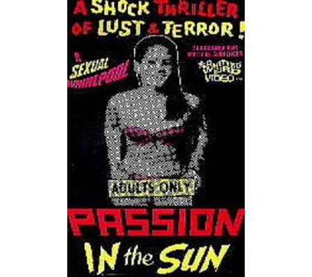 Passion In The Sun (1964)