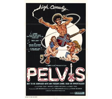 Pelvis (1977)