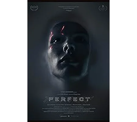 Perfect (2018)
