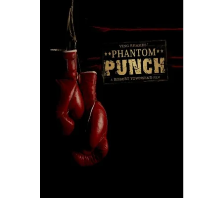 Phantom Punch (2008)