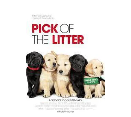 Pick Of The Litter (2018)