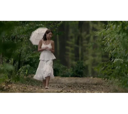 Picture Of Beauty (2017)