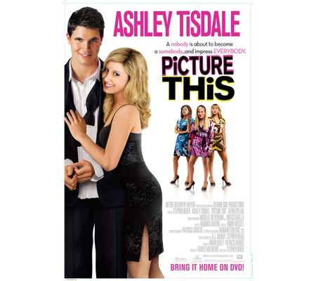 Picture This (2008)