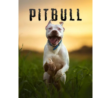 Pitbull (2018)