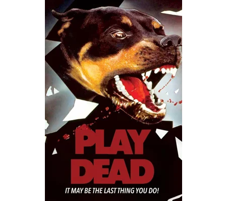 Play Dead (1983)