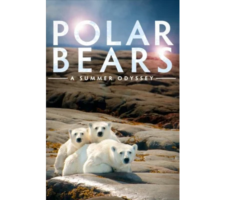 Polar Bears - A Summer Odyssey (2012)