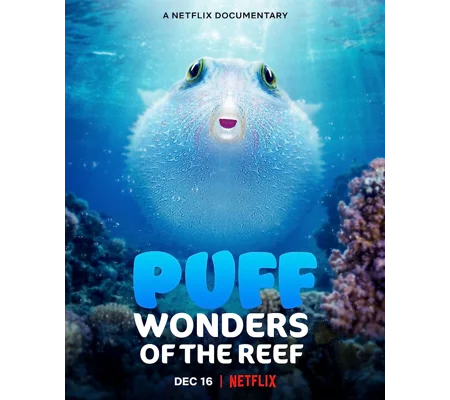 Puff - Wonders Of The Reef (2021)
