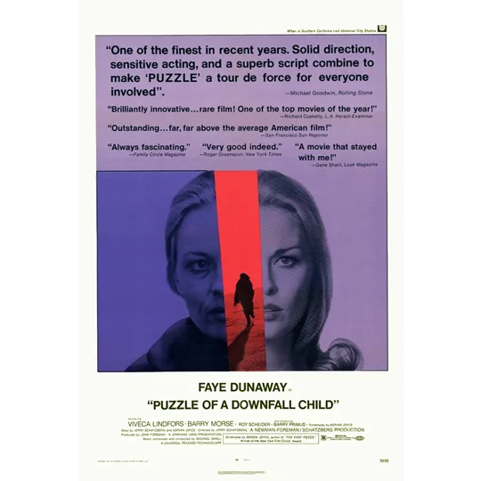 Puzzle Of A Downfall Child (1970) Faye Dunaway
