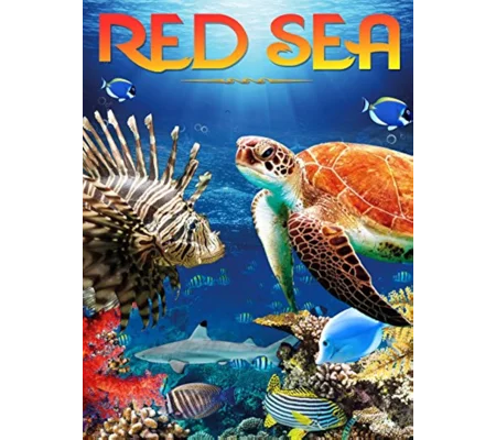 Red Sea (2016)