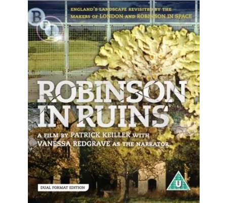 Robinson In Ruins (2010)