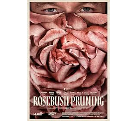 Rosebush Pruning (2026)