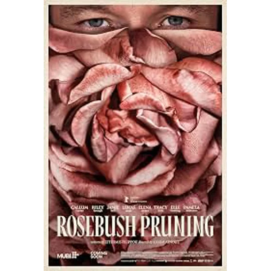 Rosebush Pruning (2026)