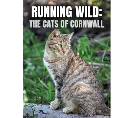 Running Wild - The Cats Of Cornwall (2020)