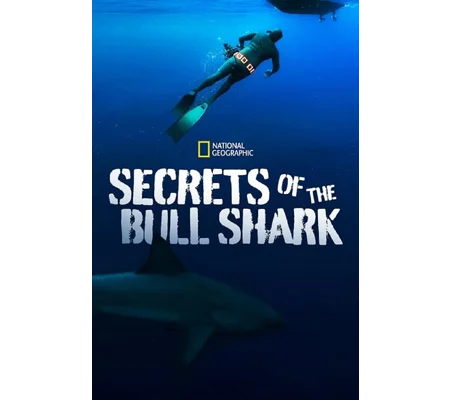 Secrets Of The Bull Shark (2020)