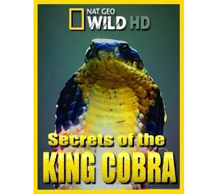 Secrets Of The King Cobra (2010)