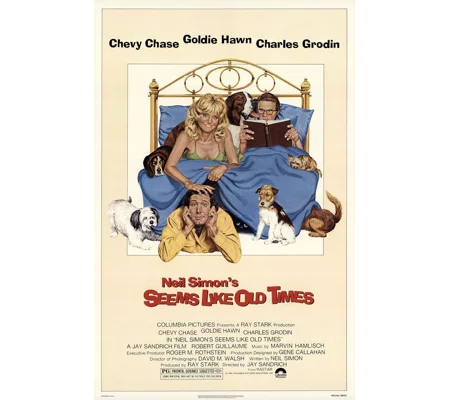 Seems Like Old Times (1980)