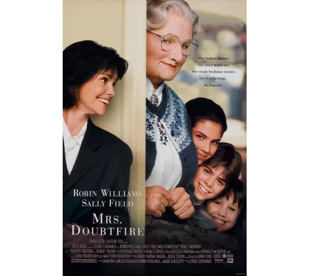 Seen - The Sequel To Mrs Doubtfire (1993)