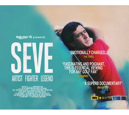 SEVE Artist Fighter Legend (2021)