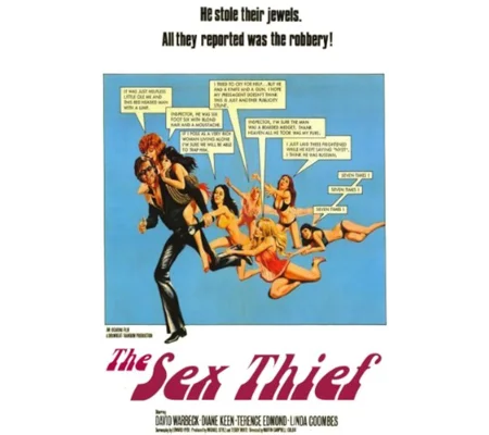 Sex Thief (1973)