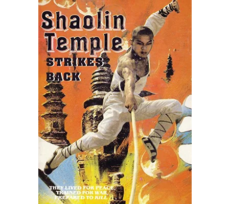 Shaolin Temple Strikes Back (1981)