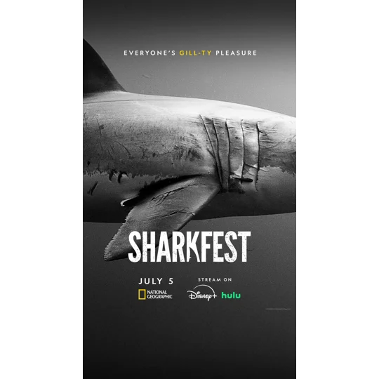 Shark Island Showdown (2026)